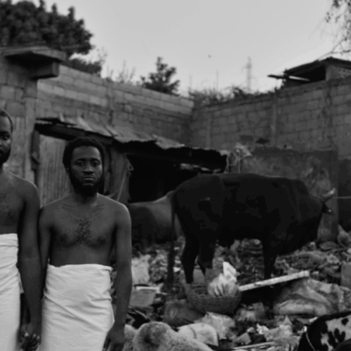 Dreams like paper Boats / Des rêves en bateaux papiers (Online & In Theatre)