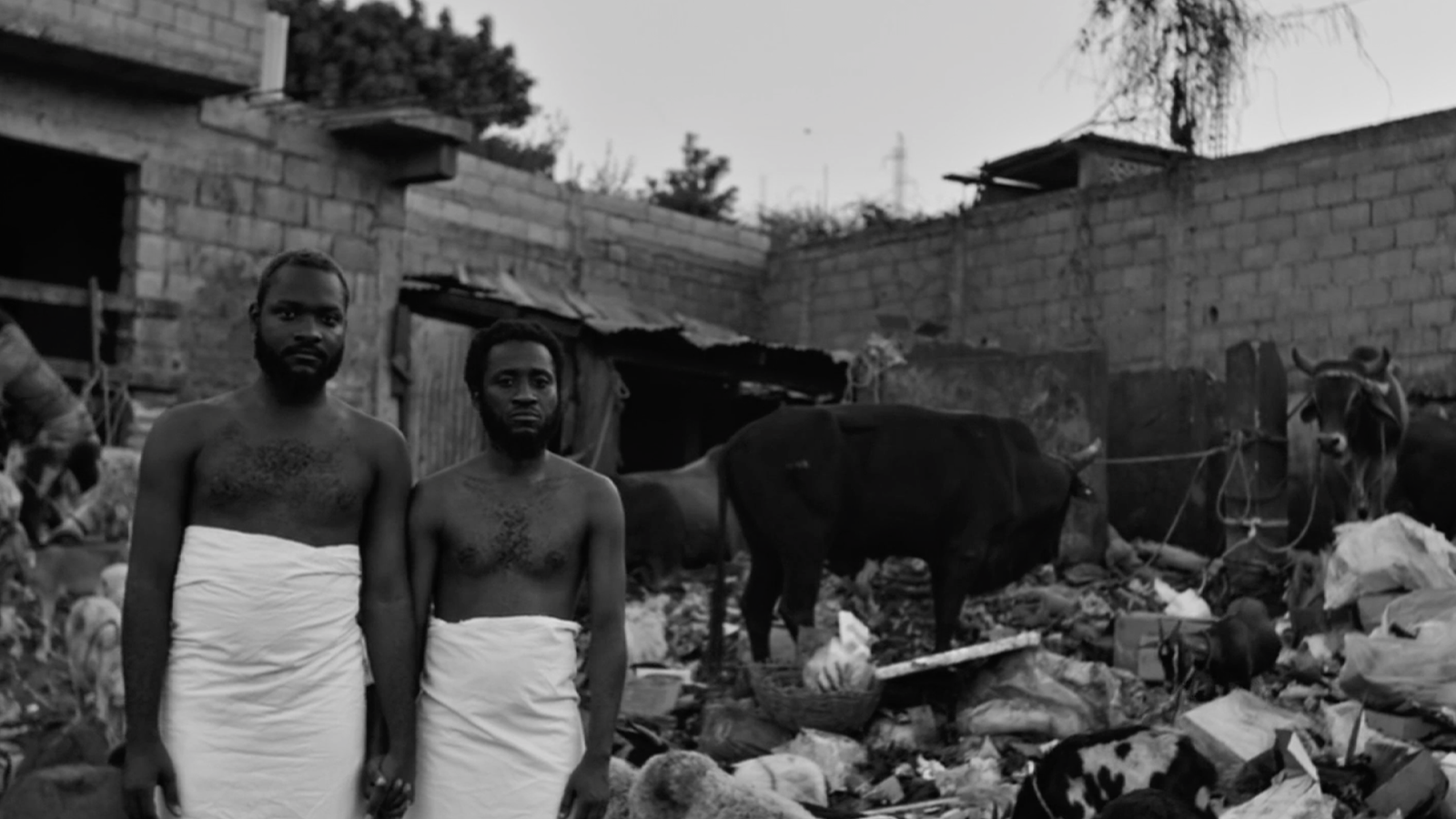 Dreams Like Paper Boats