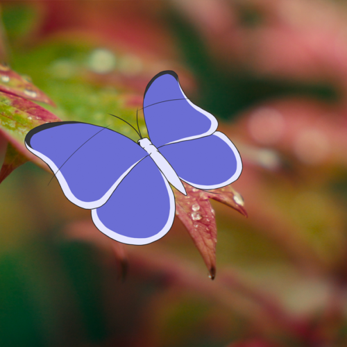 The Modern Tale of Vancouver Animators (In Person & Online)