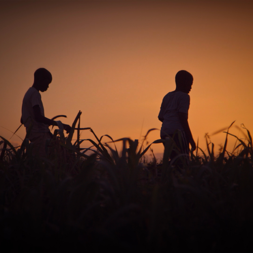 Stateless (Online)