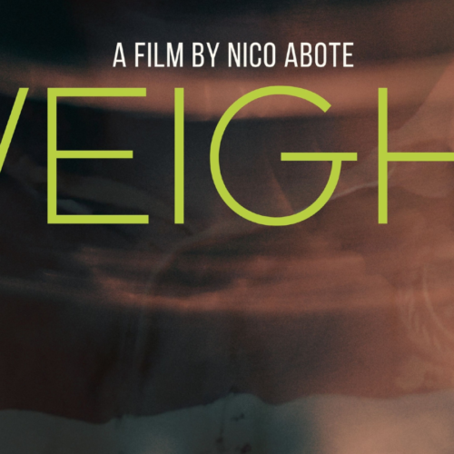 Spotlight Stories: Film Industry Q&A Series with Award-winning filmmaker Nico Abote